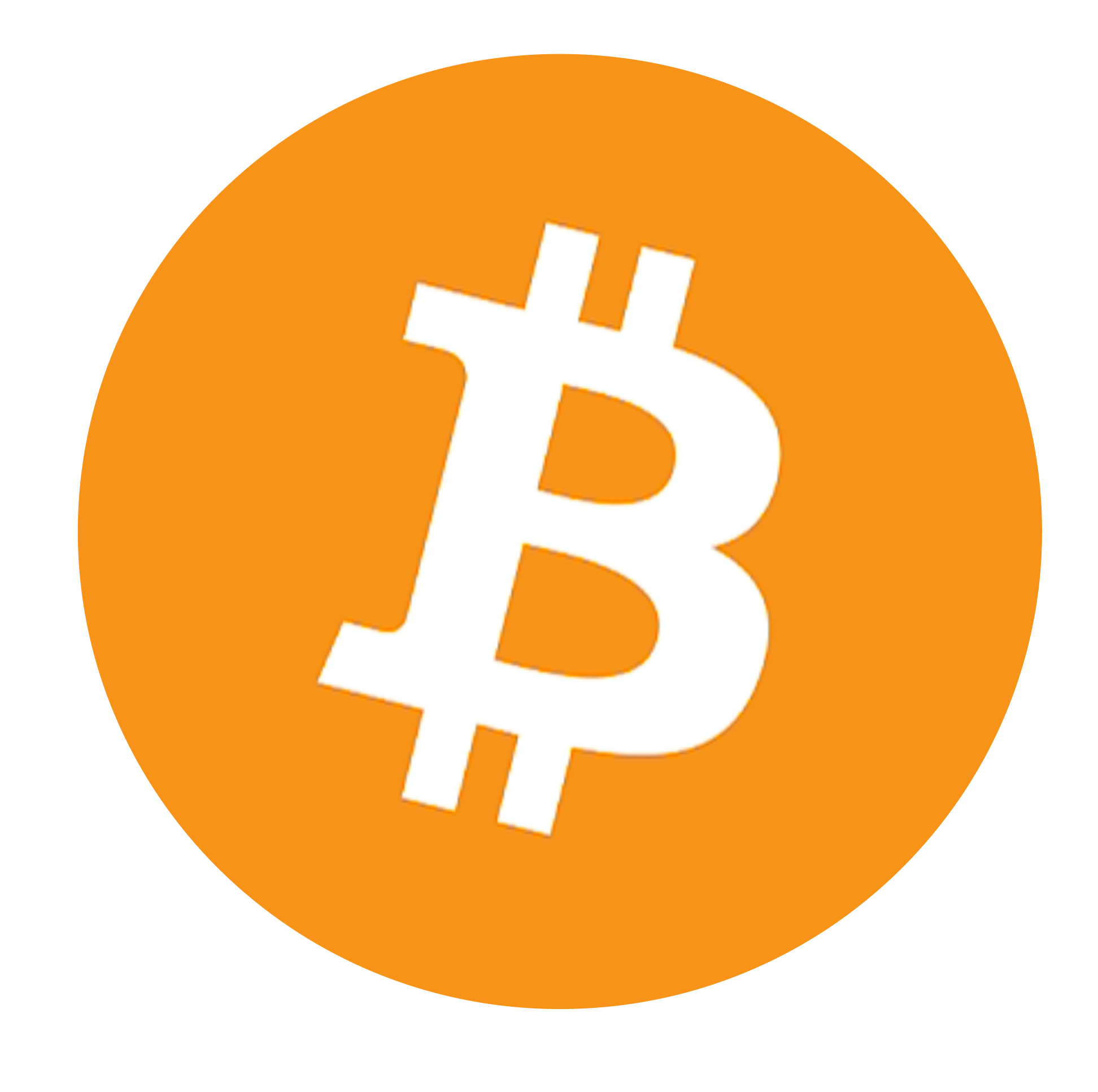 Bitcoin Logo